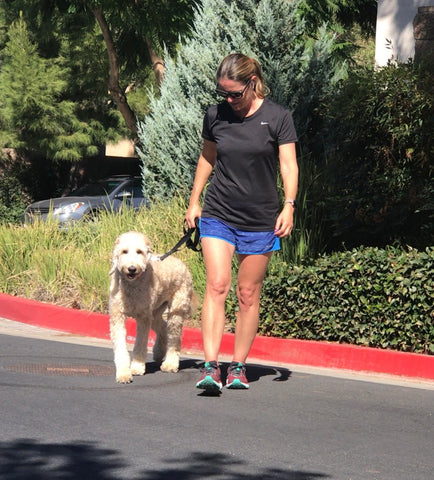 running with your dog