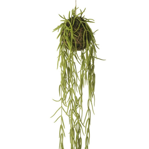 FAUX HOYA LINEARIS HANGING PLANT The Little House Shop