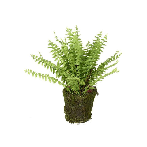Artificial faux fern in plant pot the little house shop