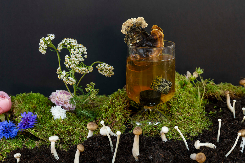 A cocktail surrounded by botanical ingredients