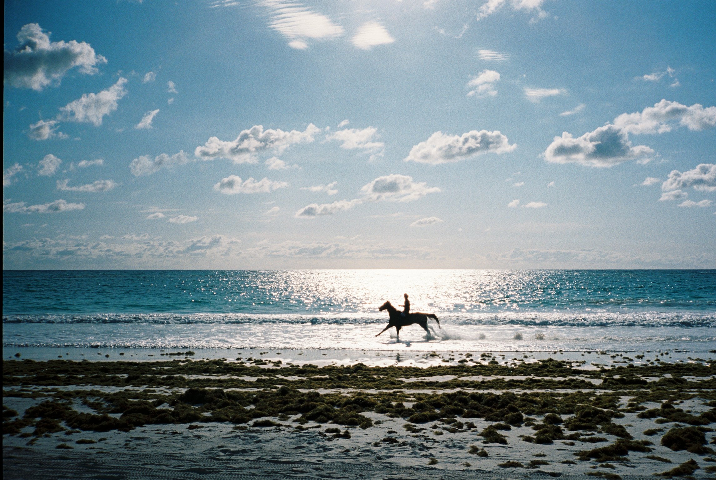 horseback riding bahamas pink sands resort