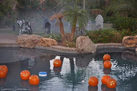 The Pool Graveyard