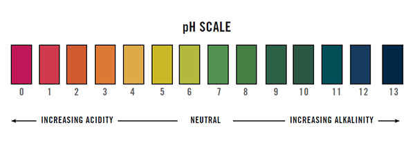 pH Testing Your Pool - Liquidseat