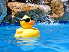 rubber duck in the pool for our pool party