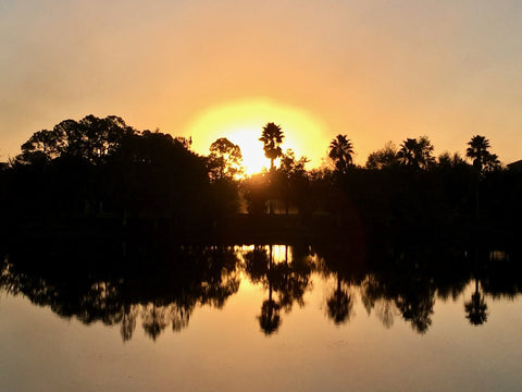 Southwest Florida dawn