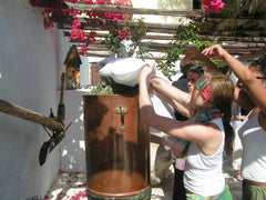 filling the copper alembic still