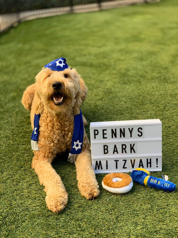 Bark Mitzvah