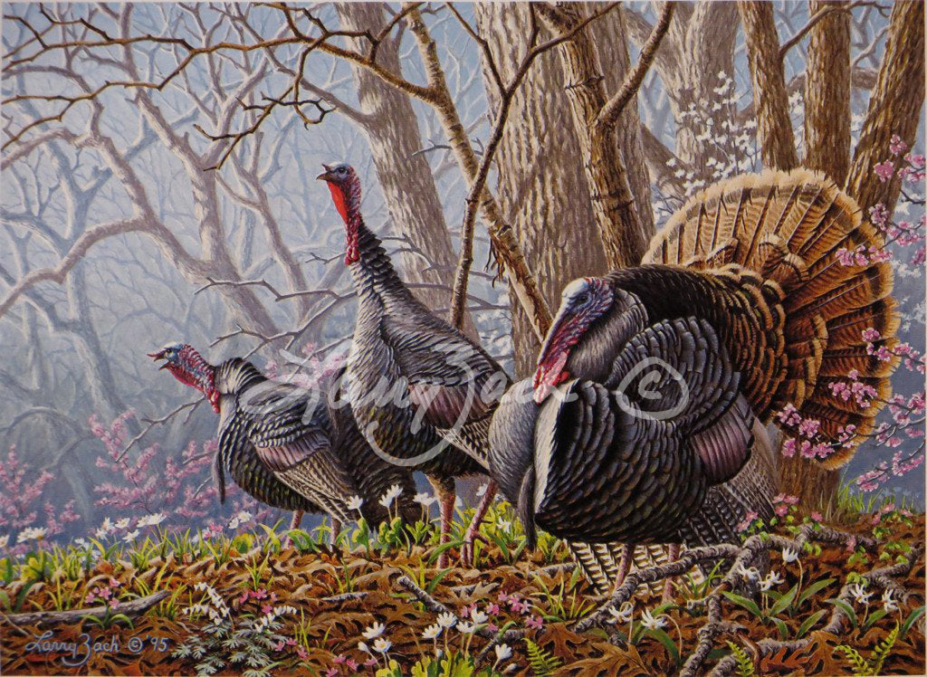 1995 Arkansas Turkey Stamp Larry Zach Wildlife Art