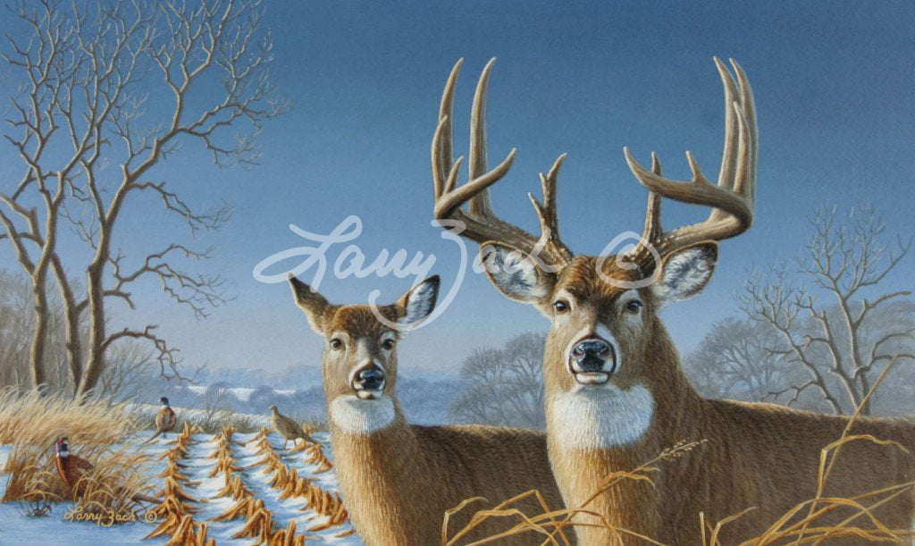 1997 Iowa Habitat Stamp Whitetail Larry Zach Wildlife Art