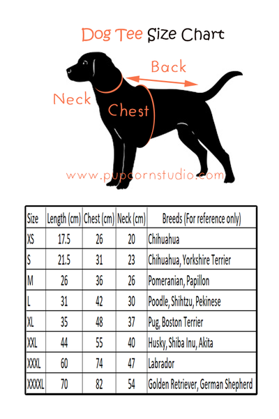 Boston Terrier Size Chart