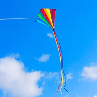 Wind Speed Shadows Diamond Kids Kite