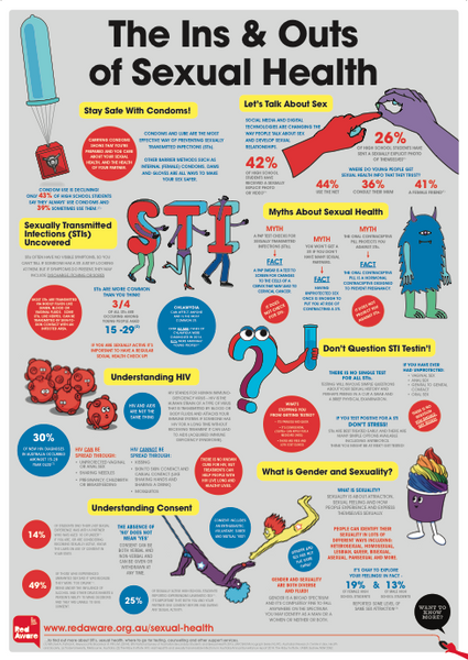 Ins And Outs Of Sexual Health A1 Poster Yeah Shop