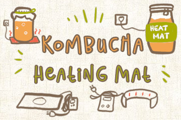 Kombucha Heating Mat And Pads A Buyer S Guide Grow Your Pantry