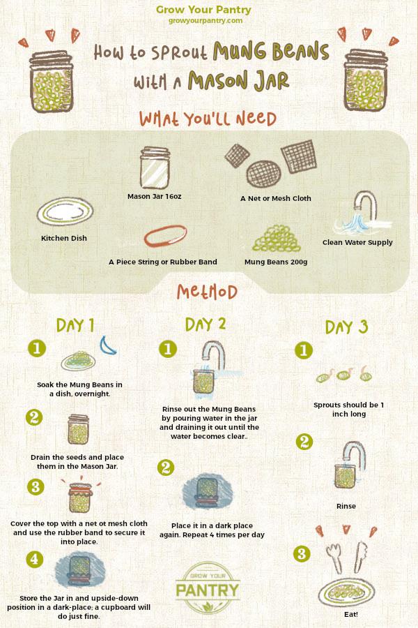 how_to_sprout_mung_beans