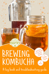 Kombucha Log Book front cover