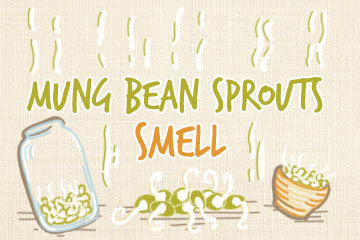 mung_bean_sprout_smell_infographic
