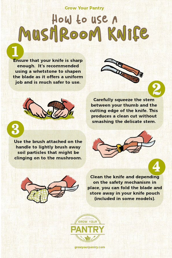 how_to_use_a_mushroom_knife_infographic