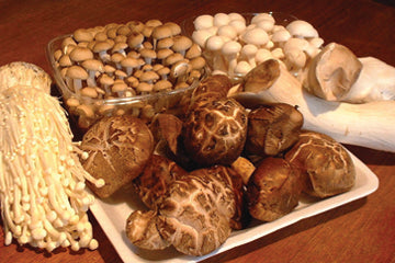 varieties_of_mushrooms 