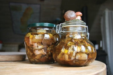 pickled_mushrooms