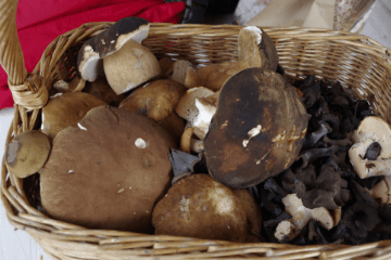 basket_of_mushrooms