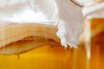 scoby_brewing
