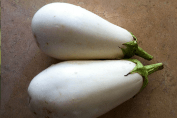 white_eggplant