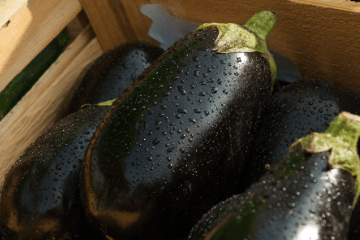 eggplant_in_wooden_tray