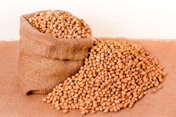 soybeans