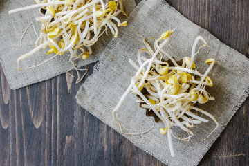 mung_bean_sprouts
