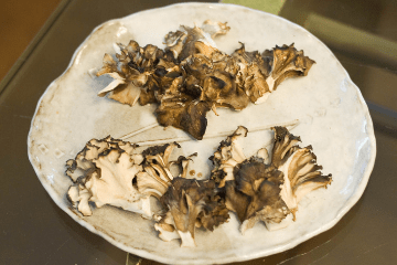 maitake_mushrooms_on_a_plate