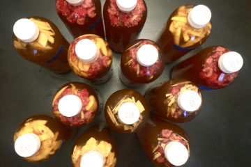 kombucha_bottles