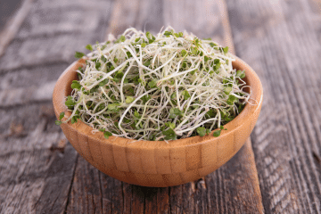 broccoli_sprouts_in_bowl