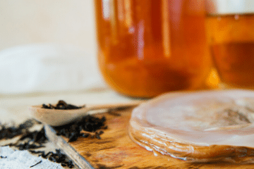 kombucha_scoby