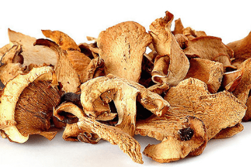 dried_mushrooms
