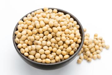 soybeans_in_bowl