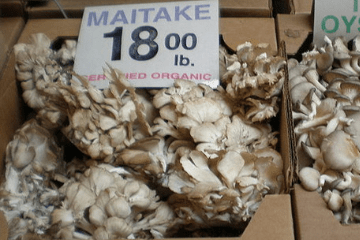 maitake_mushrooms_on_sale