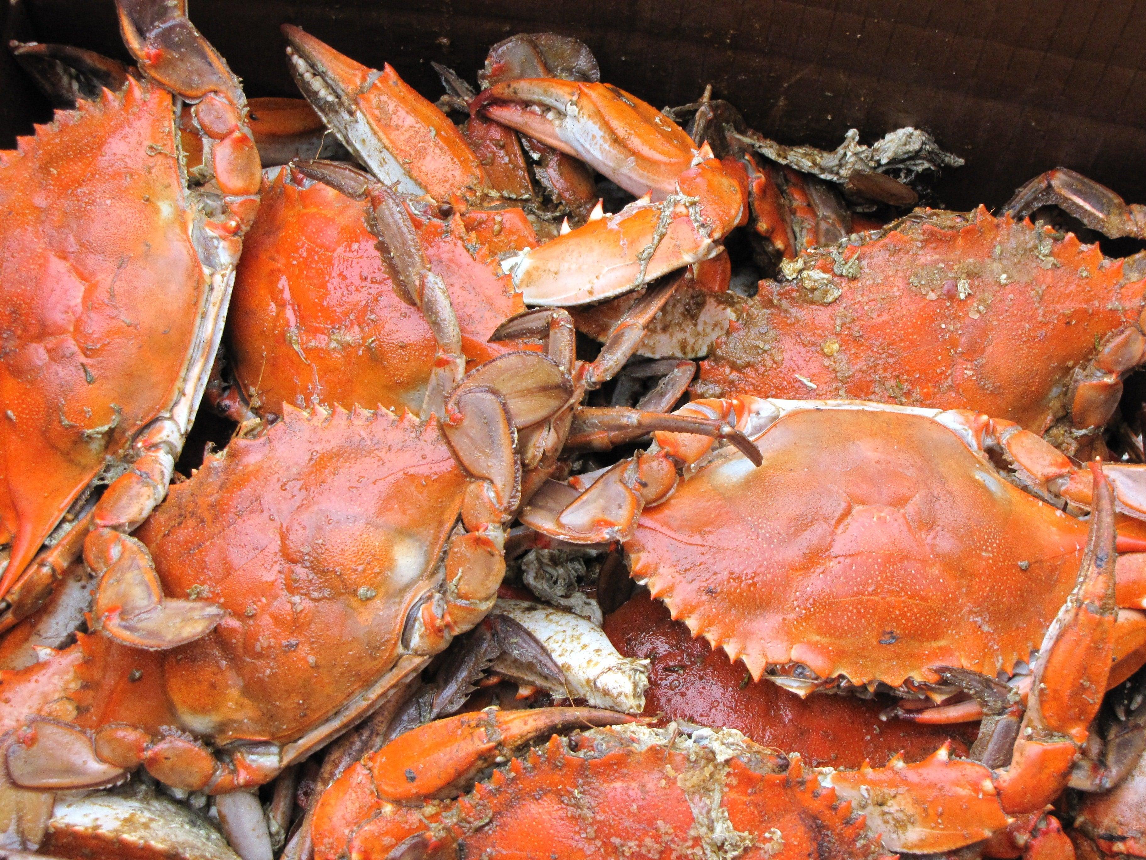 Dining on the Water in MD: Try these 6 Spots