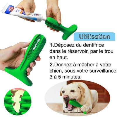 brosse a dent pour chien jouet