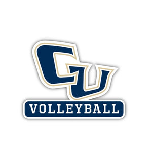 Cornerstone VOLLEYBALL decal - M12