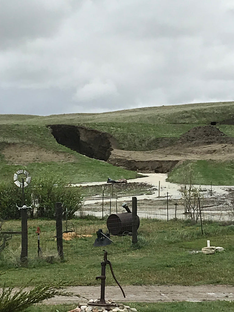 Flooded ranch land