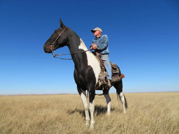 Dan on a black and white horse on the prairie