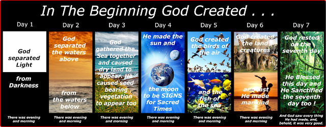 Young Earth Creationist (YEC) - Ultimate Guide to Christian Apologetics