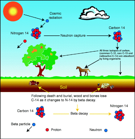 Carbon Dating - How Old Is the Universe?