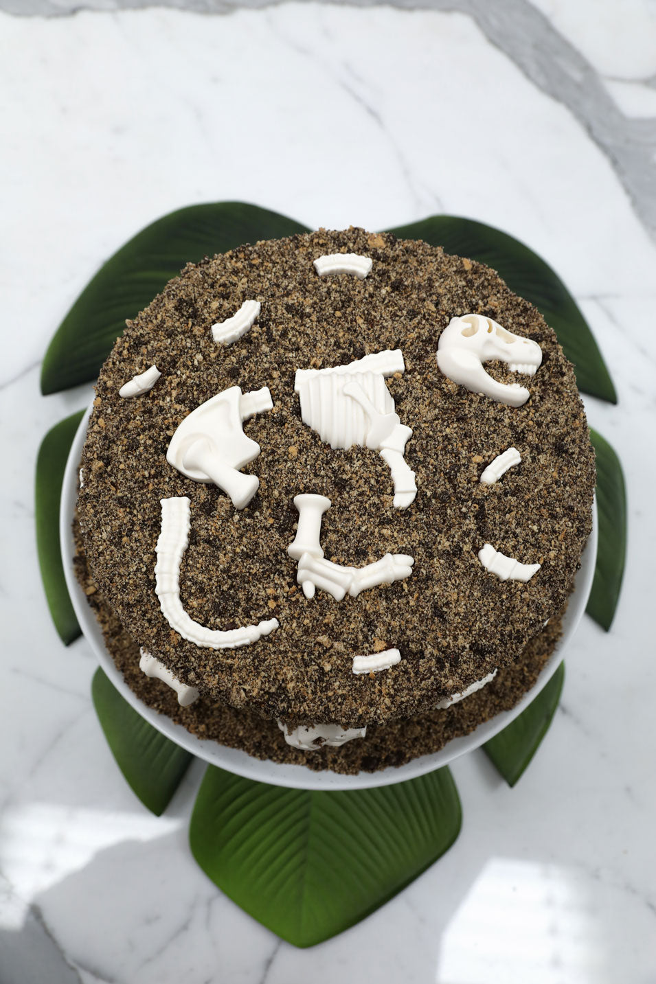 Dinosaur Fossil Cake