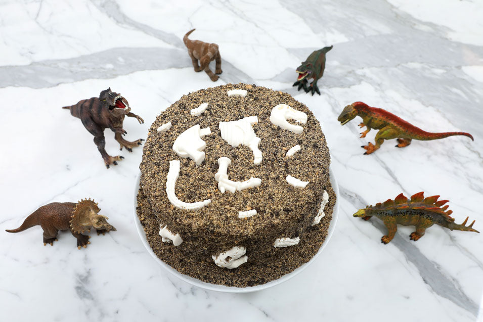 Dinosaur Fossil Cake