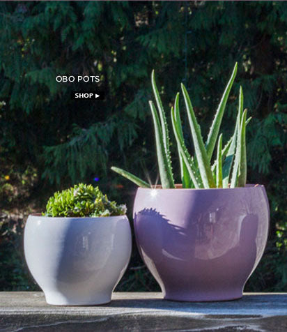 Obo pots