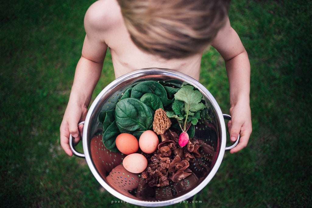 Delicious Food Photography - Photography Challenge Winners Announced