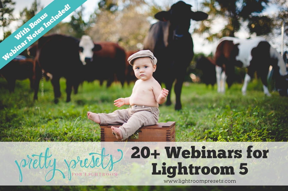 20 Webinars for to Quickly Learn Lightroom | Pretty Presets Lightroom Tutorial