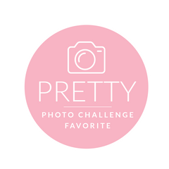Pretty Photo Challenge Badge
