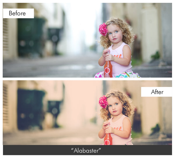 pretty presets for lightroom torrent